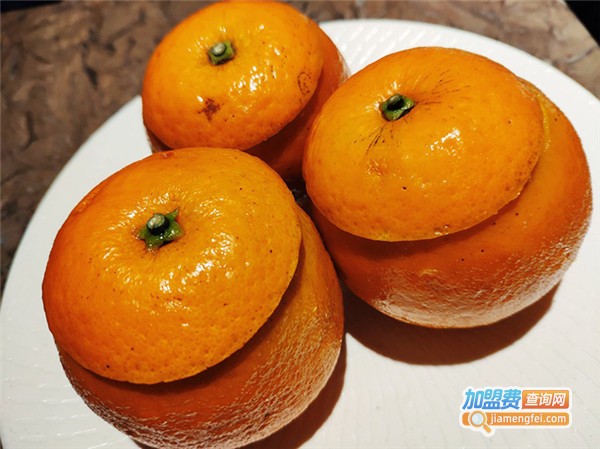 酸喜苗侗菜加盟费