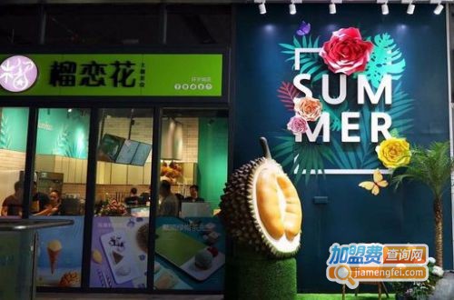 榴恋花·鲜作手工冰激凌加盟费