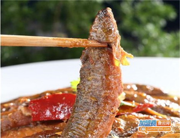 燕郊烧鸽子加盟费