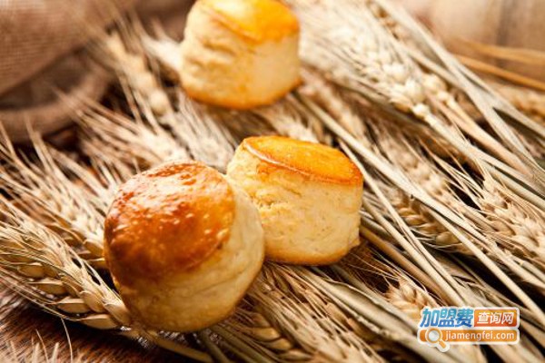 颜·烘焙加盟费