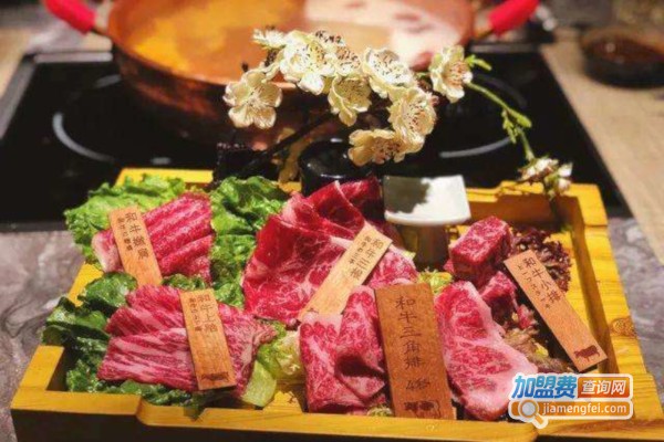 九五牛新日式和牛火锅加盟费