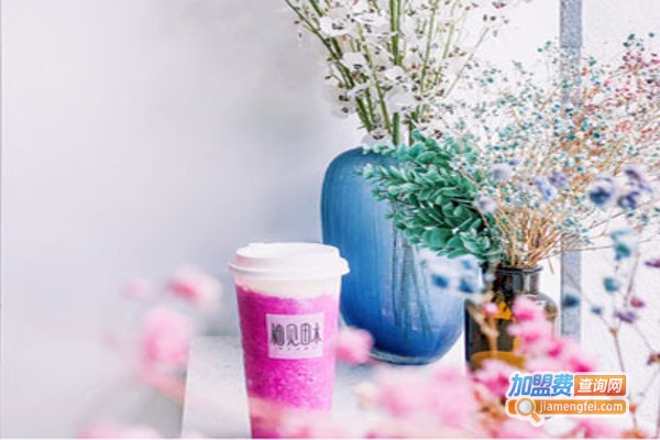 柚见木田加盟费