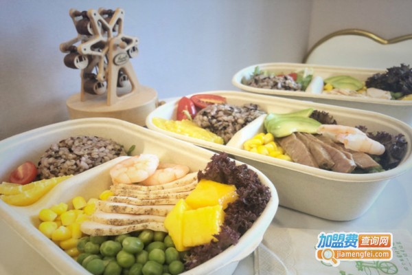 春季时光·轻食加盟费