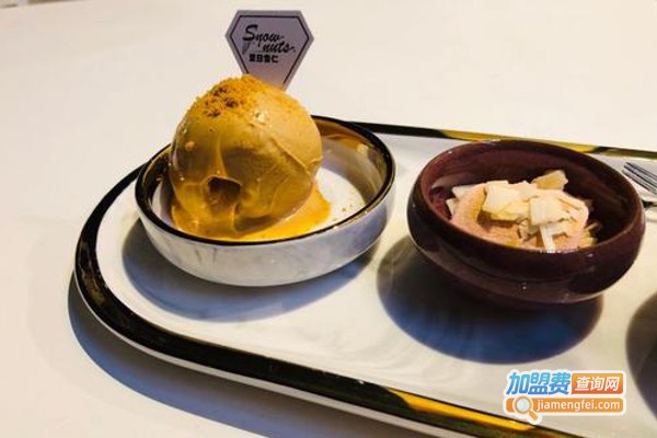 snow nuts夏日雪仁冰淇淋加盟费