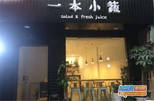 一本小蔬餐厅加盟费