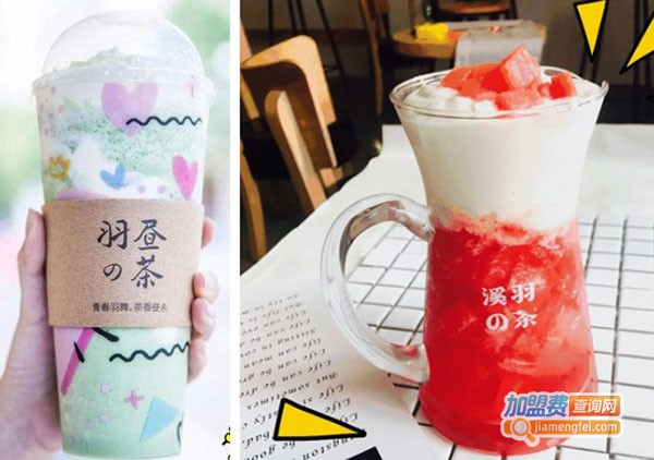 羽昼の茶加盟费