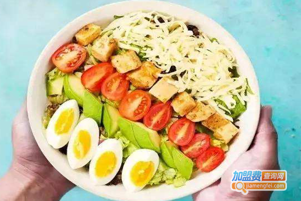 美丽说轻食加盟费