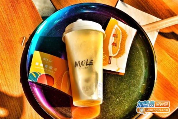 摩乐MOLE加盟费