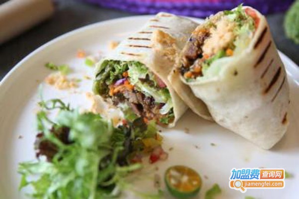 莎莎·麦克西加盟费