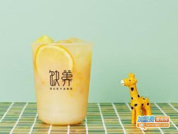 缺养·益生菌补给站加盟费