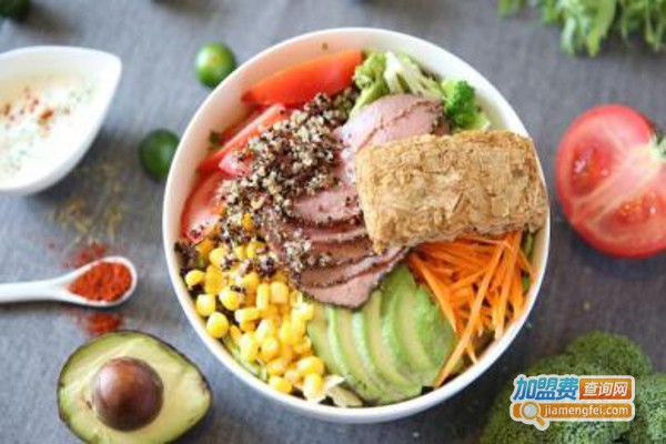 莎莎·麦克西加盟费