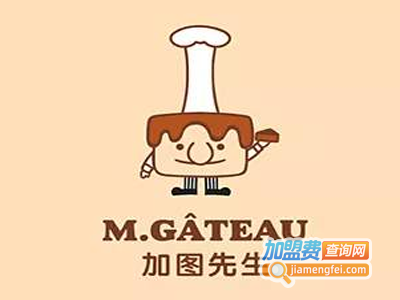 加图先生