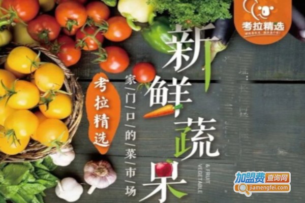 考拉精选加盟费