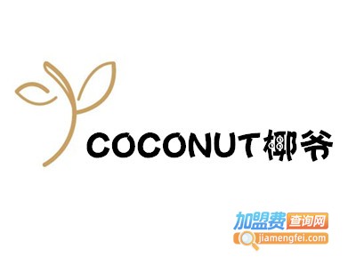COCONUT椰爷加盟费