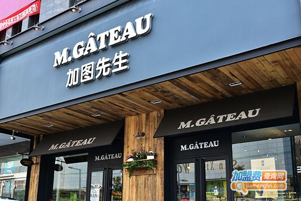 加图先生加盟费