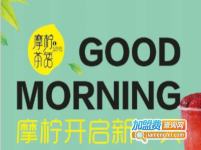 摩柠茶语加盟费