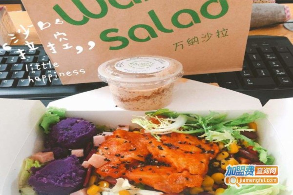 万纳沙拉加盟费