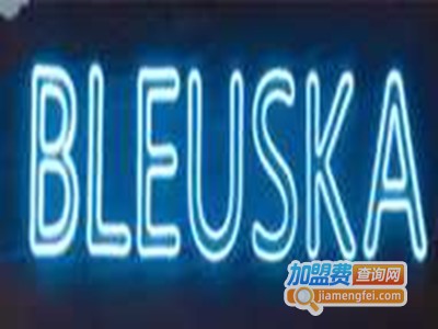 布乳斯佳冰淇淋加盟费