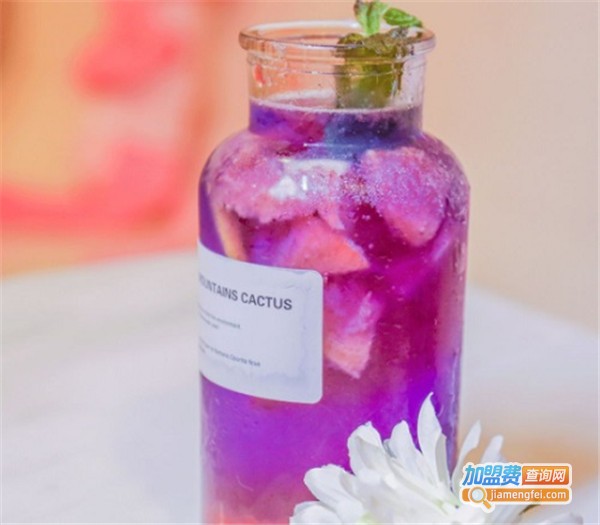 pink试物所加盟费