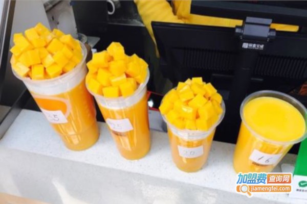 AuntMango阿姨很芒加盟费