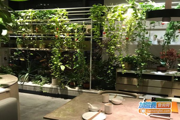 绿氧名厨加盟门店