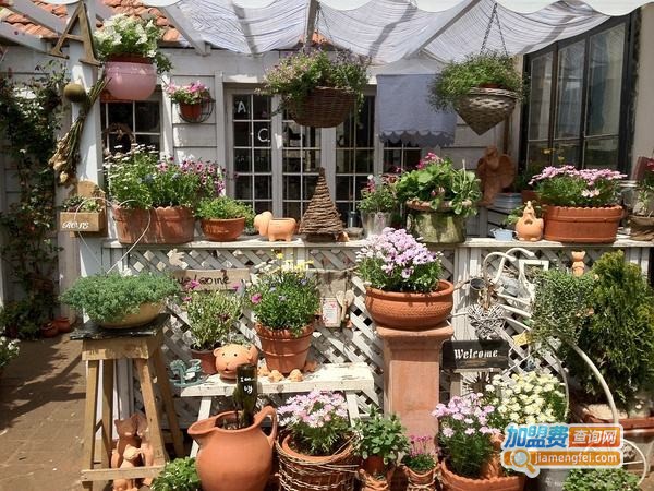 诺瓦纳咖啡与花加盟费