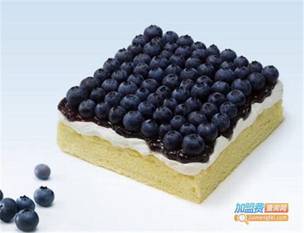 卢金枝蛋糕加盟费