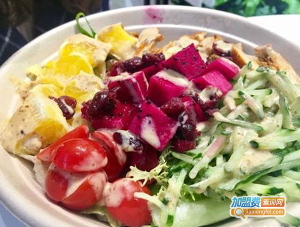 SALAD+色拉嘉加盟费