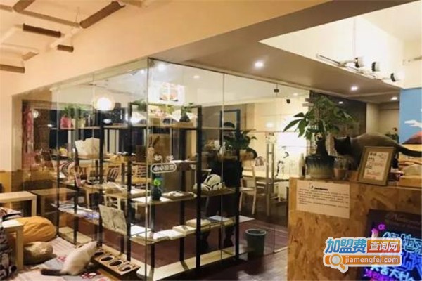 锦猫小舍主题猫吧加盟