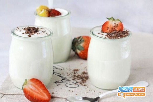 摇滚酸奶加盟费