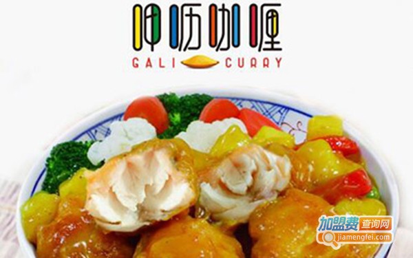 呷呖咖喱 GALI CURRY加盟费