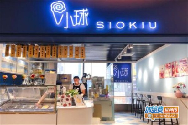 小球冰淇淋加盟费