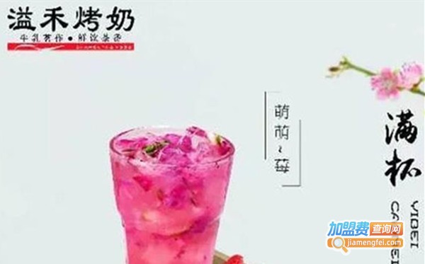 溢禾烤奶吧加盟费