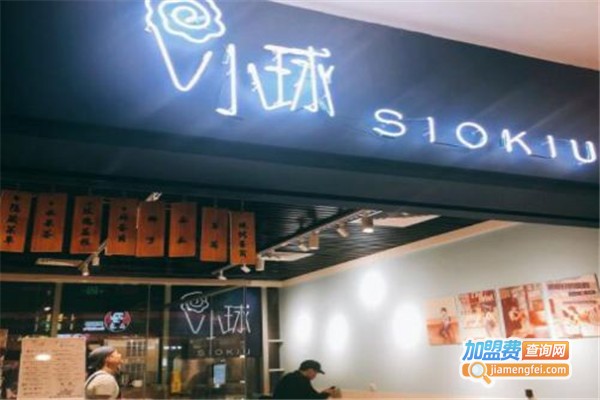 小球冰淇淋加盟费