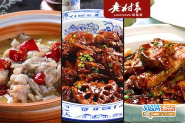 老村长私募菜加盟费