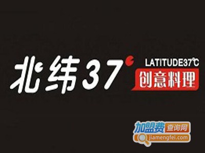 北纬37度创意料理加盟费