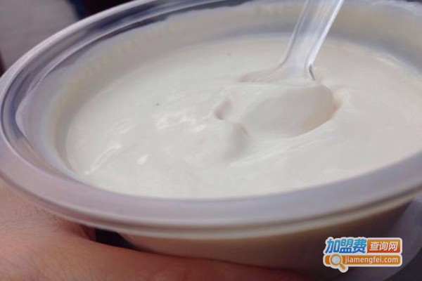 功夫酸奶酪加盟费