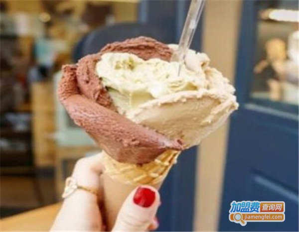 LACTIS意市冰淇淋加盟费