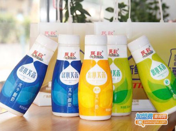 民歌水牛奶加盟费