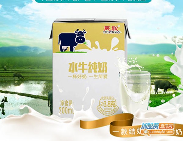 民歌水牛奶加盟费