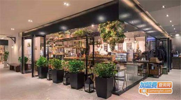 tomacado花厨餐厅加盟费