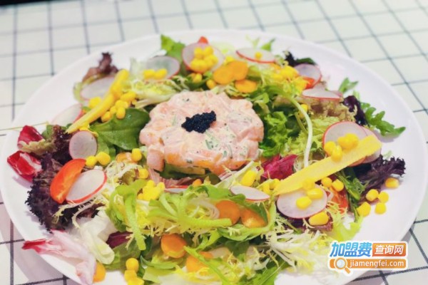 怪兽沙拉加盟费