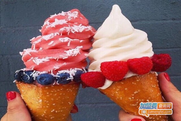 百真分子冰激凌加盟费