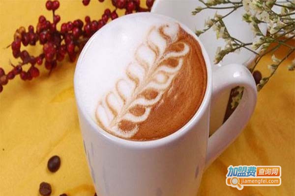 木窄木不饮品加盟费