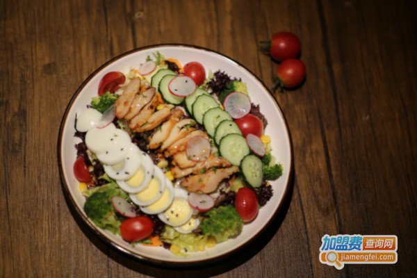 琴鸟轻食加盟费