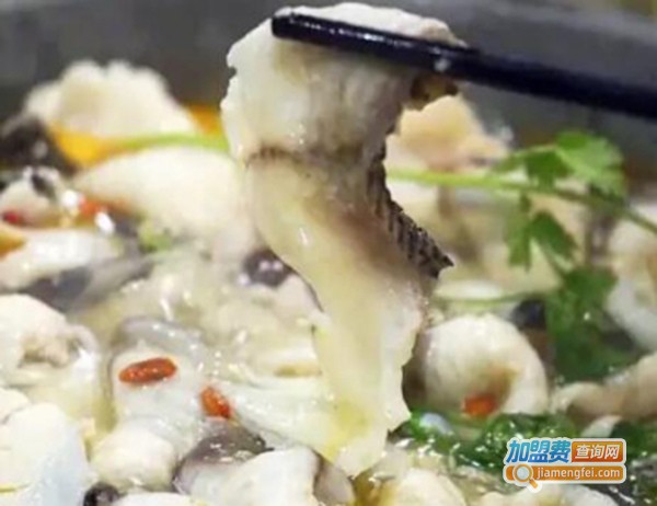 九洲石锅鱼火锅加盟费