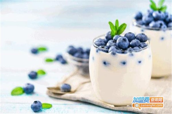 只享鲜酸奶加盟费