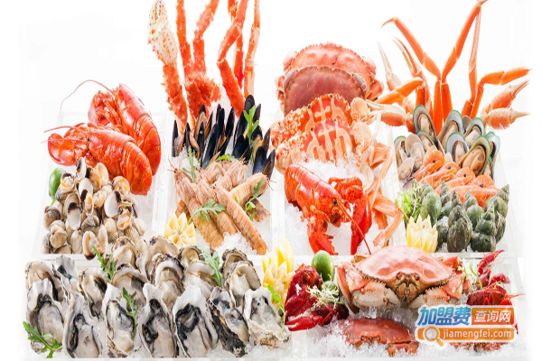 百吉鲜生加盟费