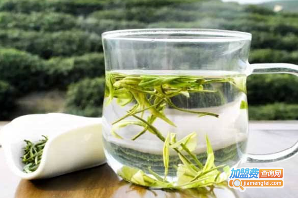 齐昕堂茶业加盟费