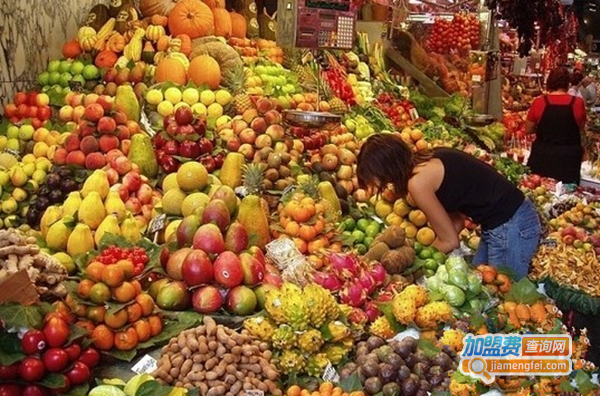 果然鲜果加盟费